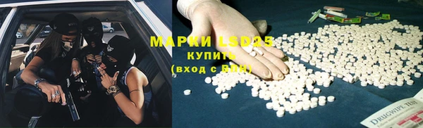 стаф Алексин