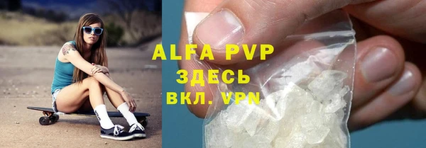 стаф Алексин