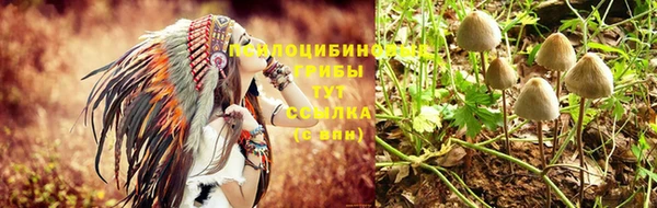стаф Алексин