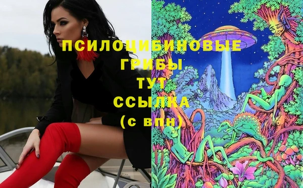 бошки Алзамай