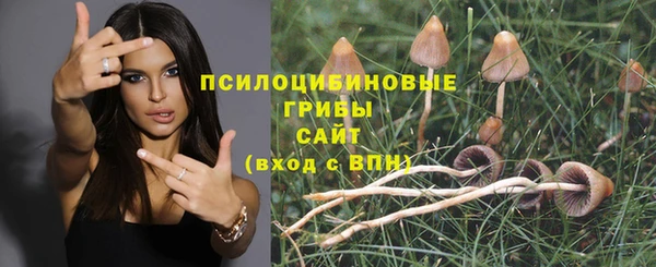 бошки Алзамай