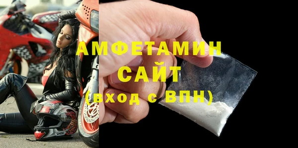 стаф Алексин